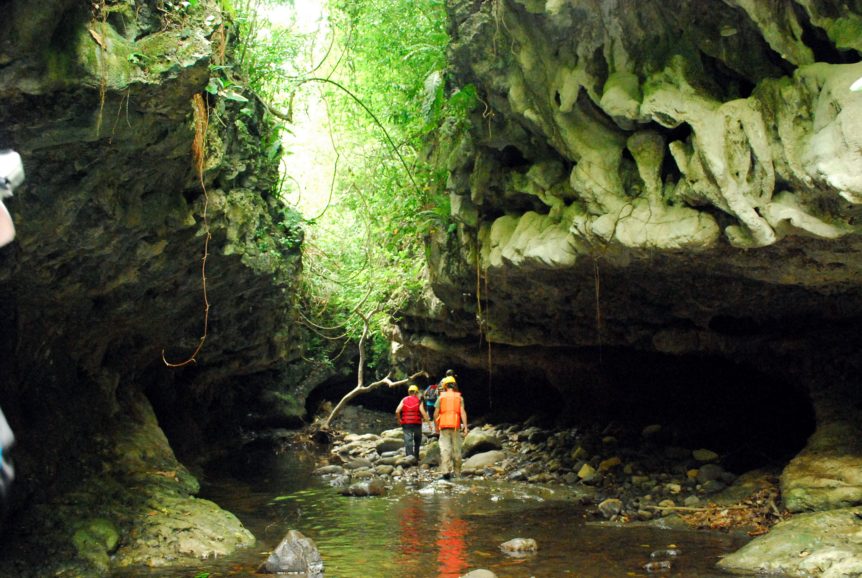 Panama Caves ‹ Explore the Natural Beauty of Bayano Caves